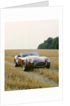 1966 AC Cobra 289 by Unknown