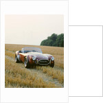 1966 AC Cobra 289 by Unknown