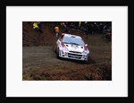 Ford Focus WRC99 by Unknown