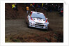 Ford Focus WRC99 by Unknown