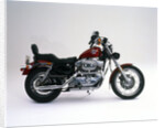 1989 Harley Davidson 883 Sportster by Unknown