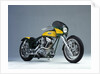 1996 BATTISTINIS Harley Davidson by Unknown