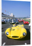 1998 Goodwood revival meeting. Jaguar D type, Martin Brundle by Unknown