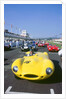 1998 Goodwood revival meeting. Jaguar D type, Martin Brundle by Unknown