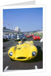 1998 Goodwood revival meeting. Jaguar D type, Martin Brundle by Unknown