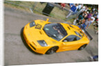 McLaren F1 GTR 1995 Le Mans winner,1996 Goodwood festival by Unknown
