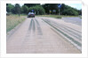 Tyre skidmarks on road surface by Unknown