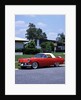 1956 Ford Thunderbird by Unknown
