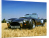 1990 Dax Cobra Tojiero by Unknown