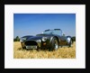 1990 Dax Cobra Tojiero by Unknown