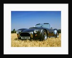 1990 Dax Cobra Tojiero by Unknown