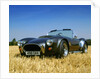 1990 Dax Cobra Tojiero by Unknown