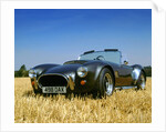 1990 Dax Cobra Tojiero by Unknown