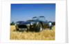 1990 Dax Cobra Tojiero by Unknown