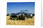 1990 Dax Cobra Tojiero by Unknown