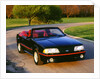 1987 Ford Mustang 5.0 litre GT by Unknown