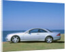 2001 Mercedes Benz CL 55 AMG V8 by Unknown
