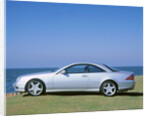2001 Mercedes Benz CL 55 AMG V8 by Unknown