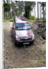 2003 Toyota Landcruiser by Unknown