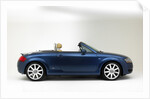 2003 Audi TT Roadster 225 by Unknown