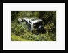 Land Rover Discorery 1990 Accident by Unknown