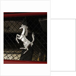 2004 Ferrari Enzo by Unknown