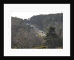 The A31 Dual Carriageway through New Forest by Unknown