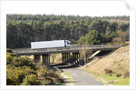 The A31 Dual Carriageway through New Forest by Unknown