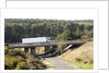 The A31 Dual Carriageway through New Forest by Unknown