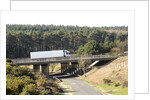 The A31 Dual Carriageway through New Forest by Unknown