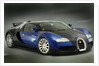 2003 Bugatti Veyron by Unknown