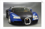 2003 Bugatti Veyron by Unknown