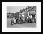 Austin 7 works team, Brooklands 1937 by Bill Brunell