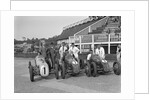 Austin 7 works team, Brooklands 1937 by Bill Brunell