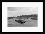 Frazer-Nash BMW 328 and Riley at the chicane, JCC Members Day, Brooklands, 1939 by Bill Brunell