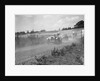 Cars competing at the JCC Members Day, Brooklands, 5 July 1930 by Bill Brunell