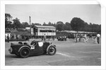 847 cc MG M-type cars at the JCC Members Day, Brooklands, 5 July 1930 by Bill Brunell