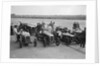 Frazer-Nash, Samson and Riley cars at an Inter-Club Meeting, Brooklands, 20 June 1931 by Bill Brunell