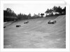 Invicta, Talbot and Frazer-Nash cars racing on the Members Banking at Brooklands by Bill Brunell