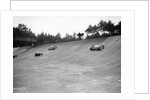 Invicta, Talbot and Frazer-Nash cars racing on the Members Banking at Brooklands by Bill Brunell