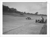 Cars racing on Byfleet Banking during the BRDC 500 Mile Race, Brooklands, 3 October 1931 by Bill Brunell