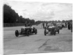 Aston Martins, Salmson and MG at the start of the LCC Relay GP, Brooklands, 25 July 1931 by Bill Brunell