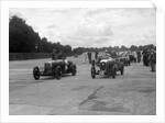 Aston Martins, Salmson and MG at the start of the LCC Relay GP, Brooklands, 25 July 1931 by Bill Brunell