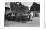 Minerva, Austin and Alvis at the start of an Inter-Club Meeting, Brooklands, 20 June 1931 by Bill Brunell