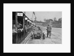 AF Ashby and R Pauing's Riley 9 Brooklands at the JCC Double Twelve race, Brooklands, 8/9 May 1931 by Bill Brunell