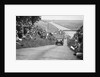 G Dixon's Riley taking part in the JCC Members Day, Brooklands, 4 July 1931 by Bill Brunell