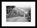 G Dixon's Riley taking part in the JCC Members Day, Brooklands, 4 July 1931 by Bill Brunell