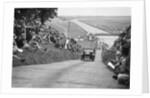 G Dixon's Riley taking part in the JCC Members Day, Brooklands, 4 July 1931 by Bill Brunell