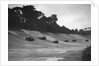 Cars racing on the banking at a JCC Members Day, Brooklands by Bill Brunell