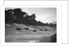 Cars racing on the banking at a JCC Members Day, Brooklands by Bill Brunell